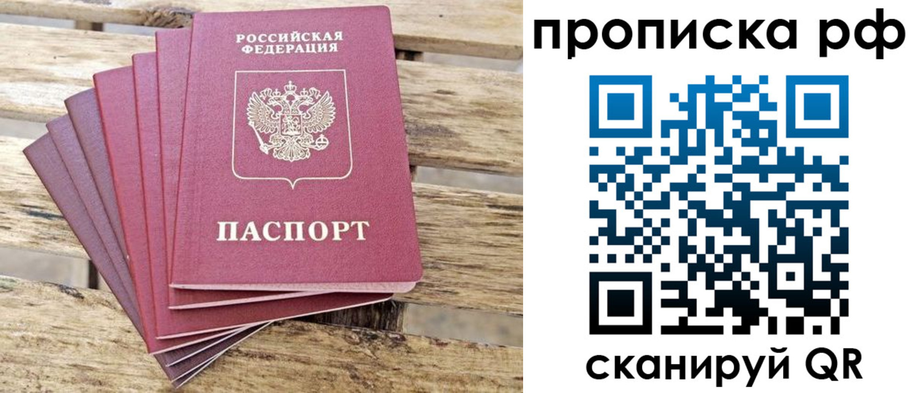 прописка гарантия в Дальнегорске